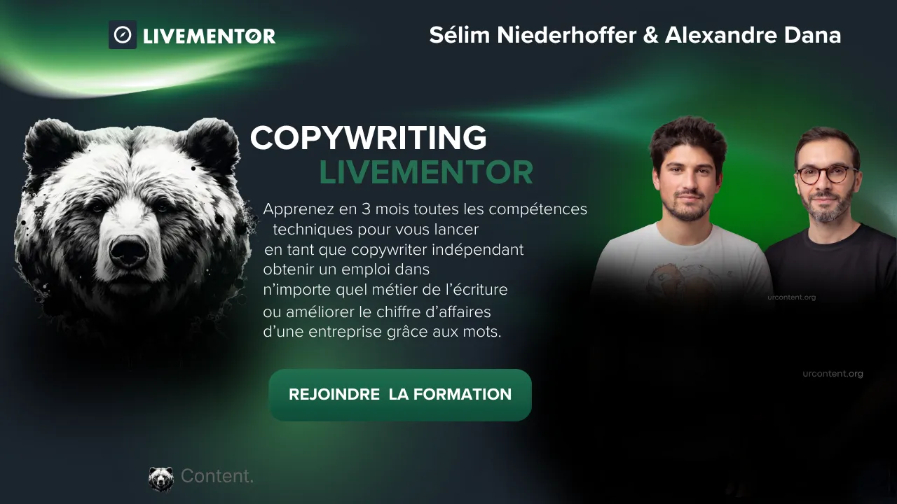 Formation copywriting livementor sélim niederhoffer alexandre dana